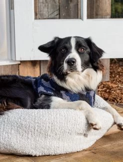 CozyChic Round Pet Bed 9 CozyChic Round Pet Bed -Barefoot Dreams BDPCC1590 PEARL SILVER 1 1