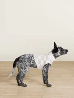CozyChic® Cotton Checkerboard Pet Sweater -Barefoot Dreams BDPNV22475 OATMEAL CREAM SM 006